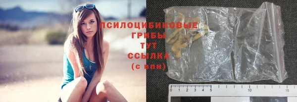 ГАЛЛЮЦИНОГЕННЫЕ ГРИБЫ Волоколамск